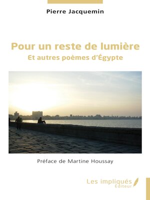 cover image of Pour un reste de lumière